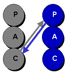 Transactional Analysis: Child-Parent relationship